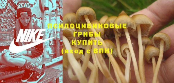 не бодяженный Дмитровск