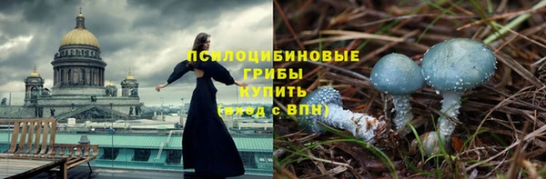 ПСИЛОЦИБИНОВЫЕ ГРИБЫ Дмитров