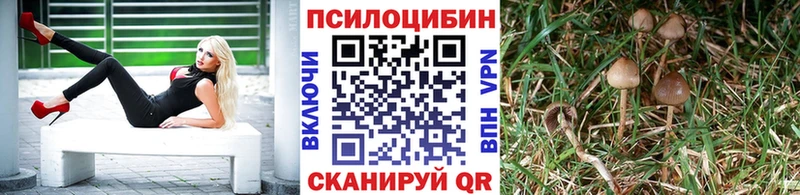 Псилоцибиновые грибы MAGIC MUSHROOMS  Купить где  Карабаново 